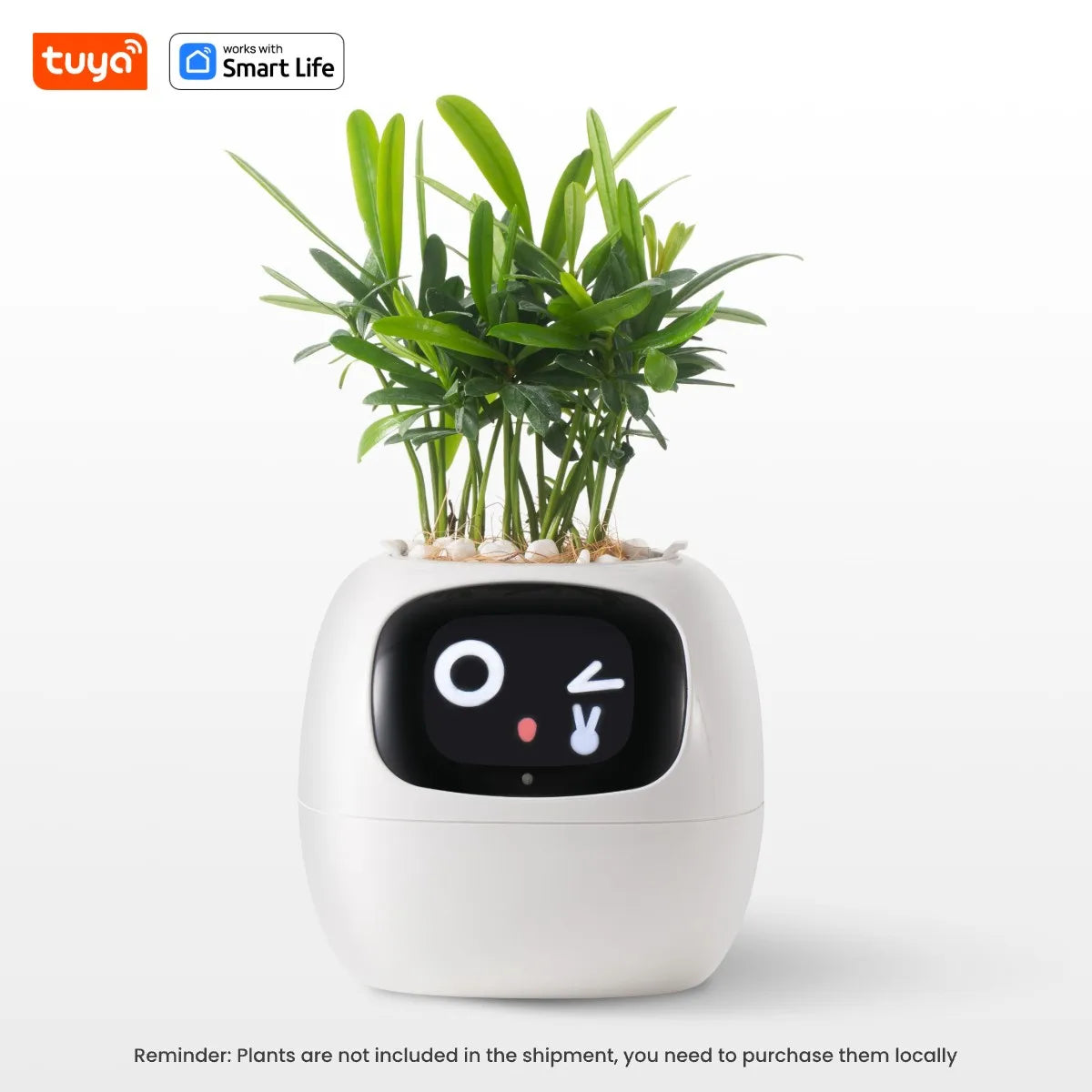 Expressive Smart Plant Pot with 49+ Emotions | AI Plant Care System