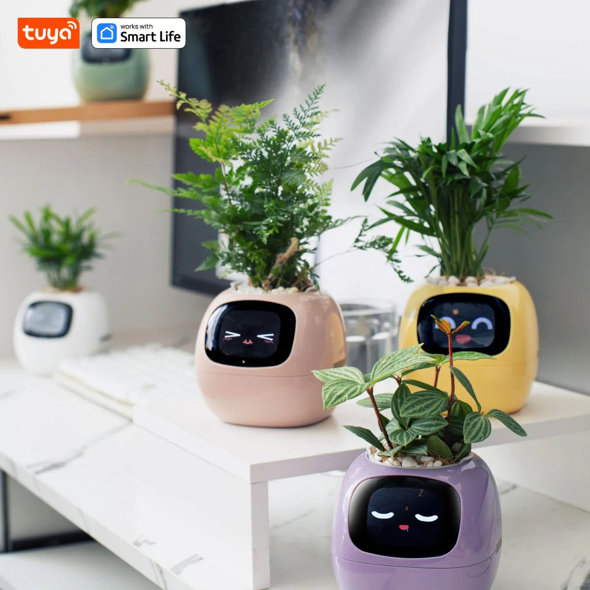 Expressive Smart Plant Pot with 49+ Emotions | AI Plant Care System
