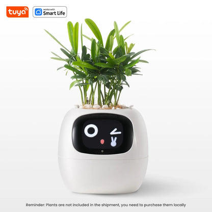 Expressive Smart Plant Pot with 49+ Emotions | AI Plant Care System