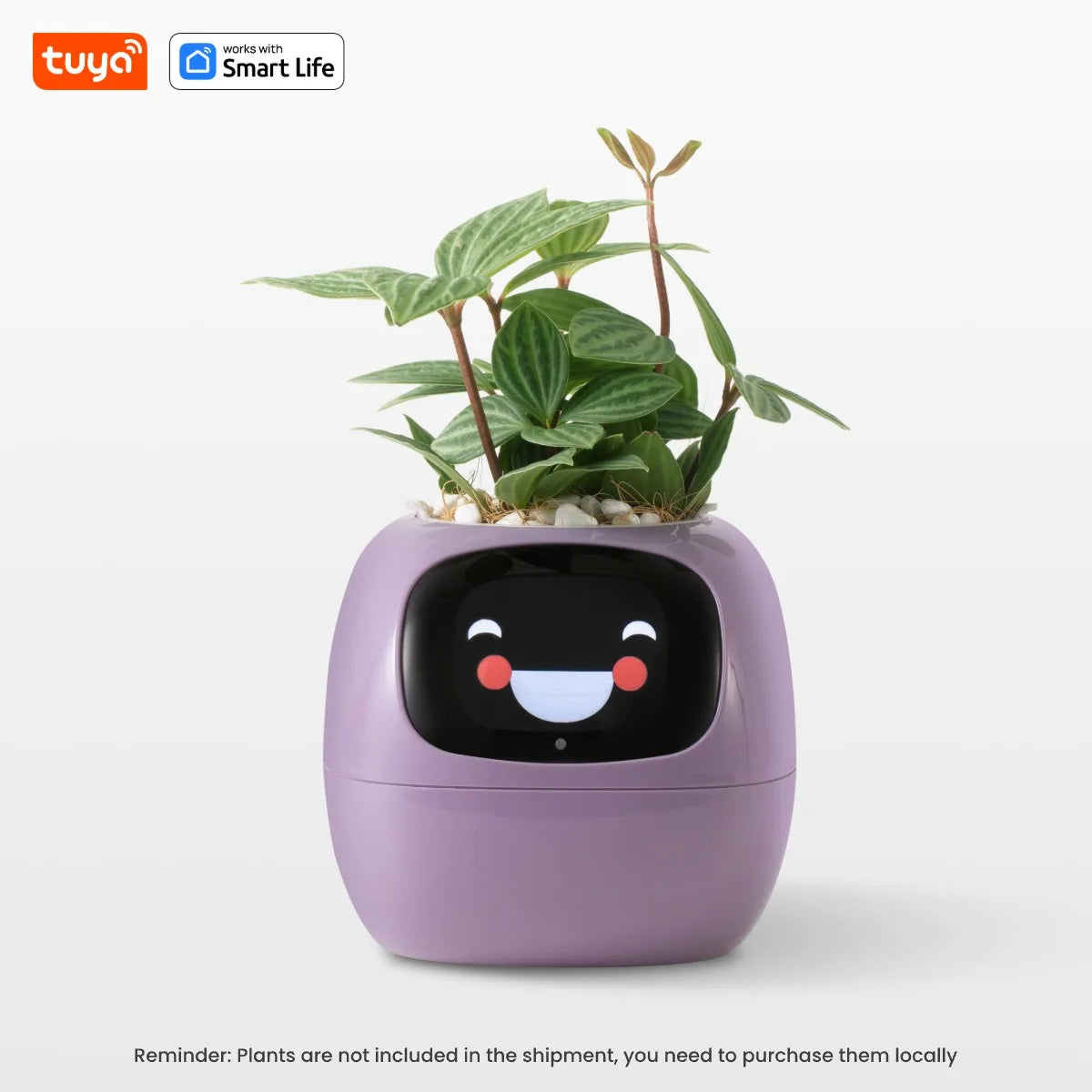 Expressive Smart Plant Pot with 49+ Emotions | AI Plant Care System