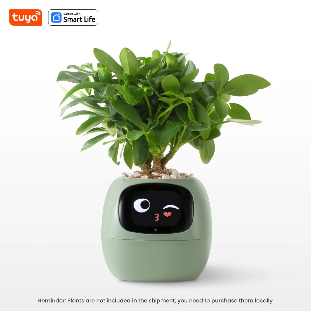plant pot that shows emotions Expressive Smart Plant Pot with 49+ Emotions
