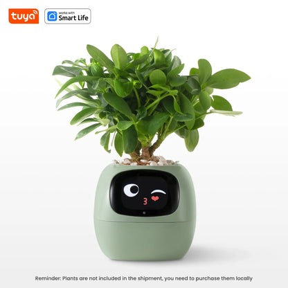Expressive Smart Plant Pot with 49+ Emotions | AI Plant Care System